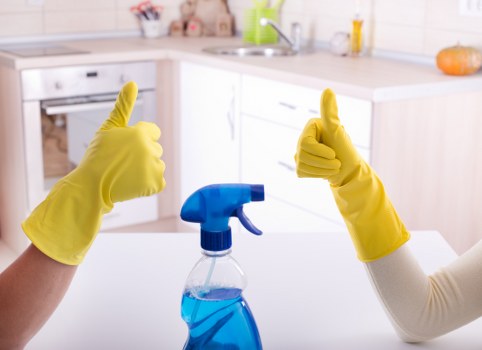 Inclusive digital access statement for carpet cleaning services