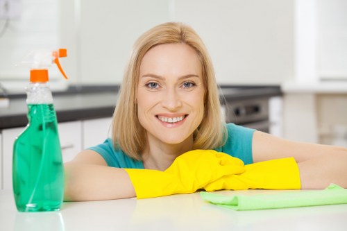 Customer concern being logged for carpet cleaning service review