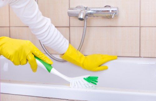 Deep carpet treatment for pet odour removal