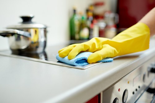 Targeted cleaning of hidden pet stain odours